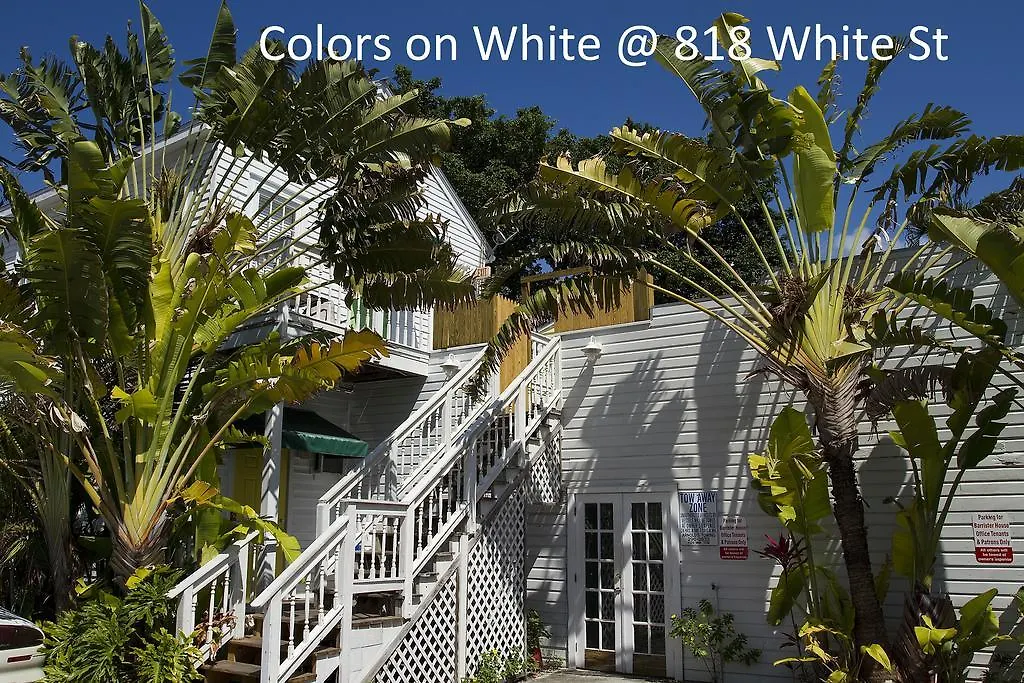 Colors On White Apartment Key West 0*,  United States